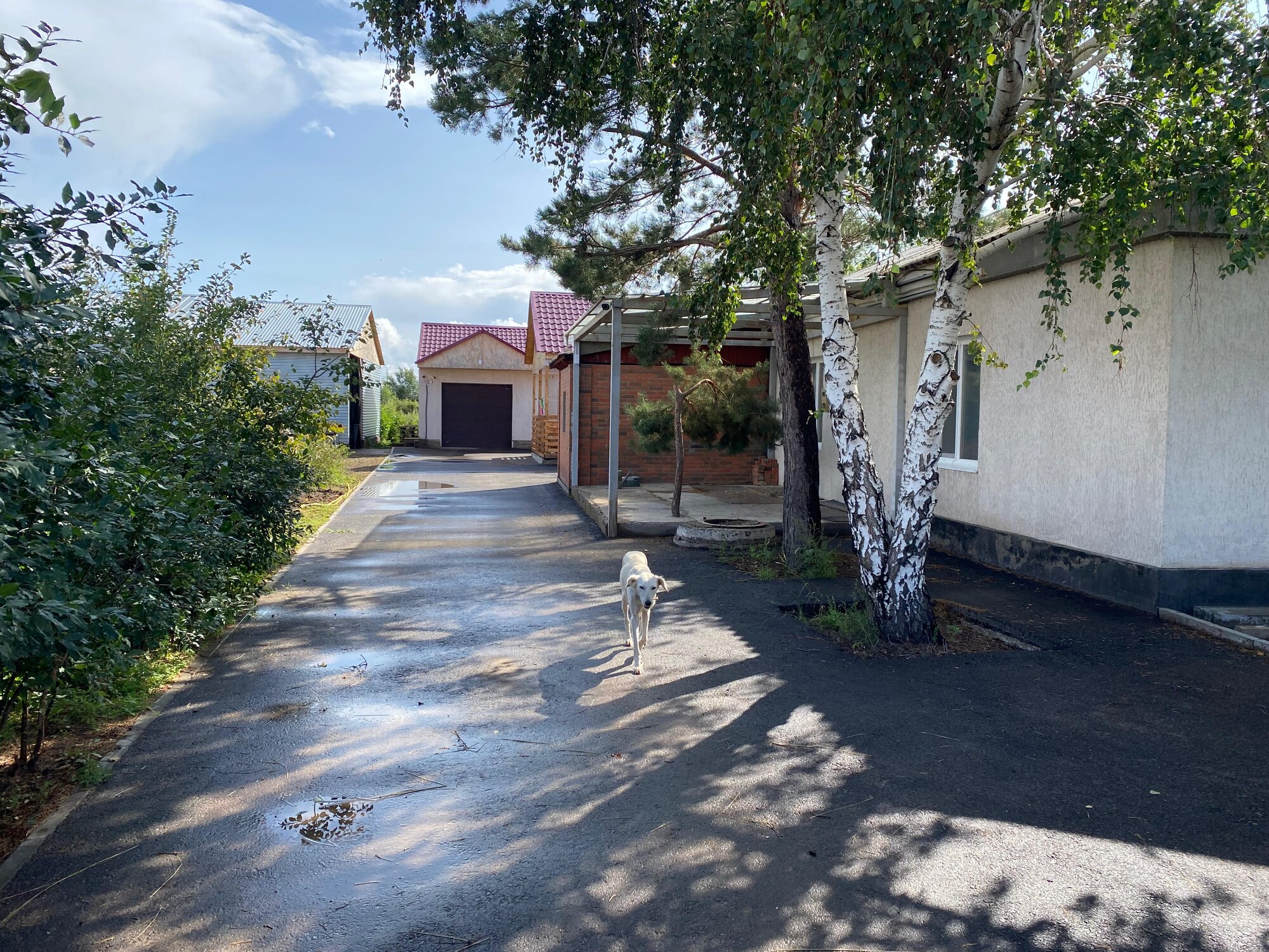 Accommodation - Photo 3